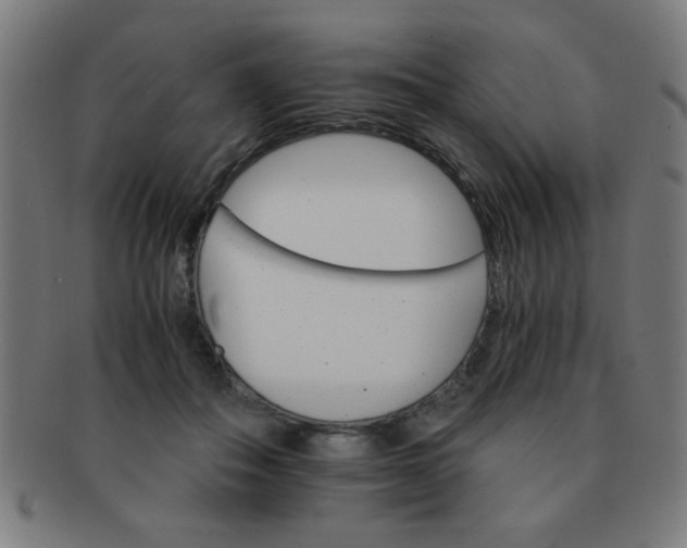 X0000091340506200708241226