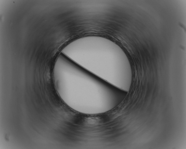 X0000091340508200708241226