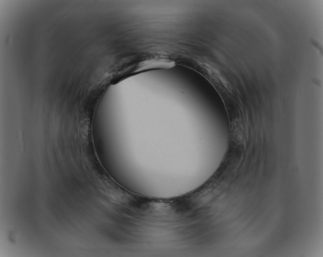 X0000091340509200708241226