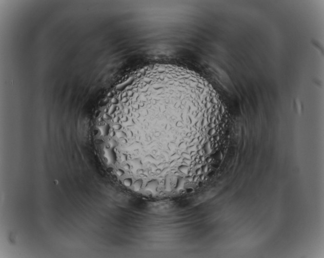 X0000091340511200708241226