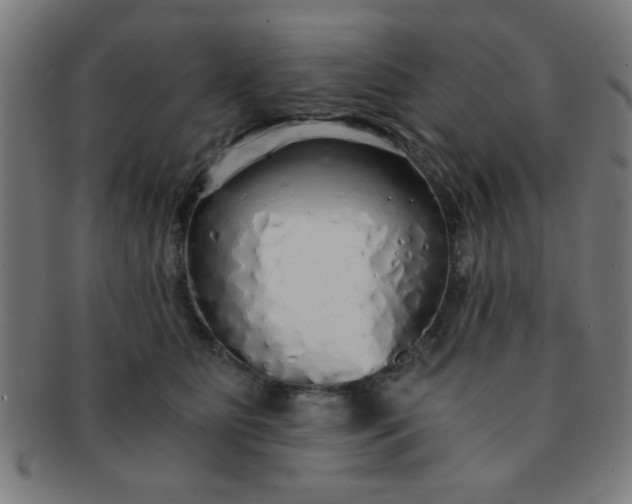 X0000091340515200708241226