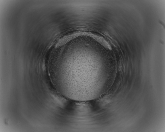 X0000091340516200708241226