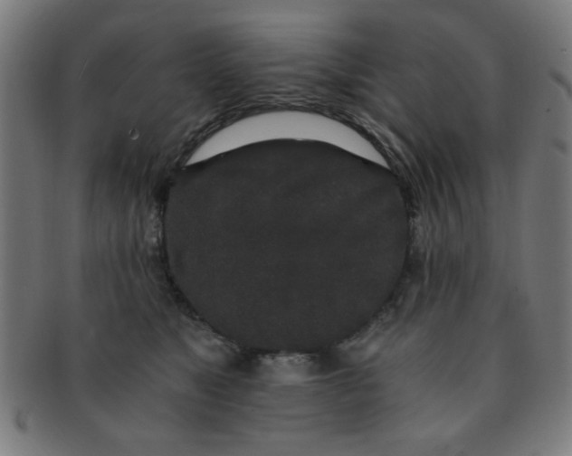 X0000091340517200708241226