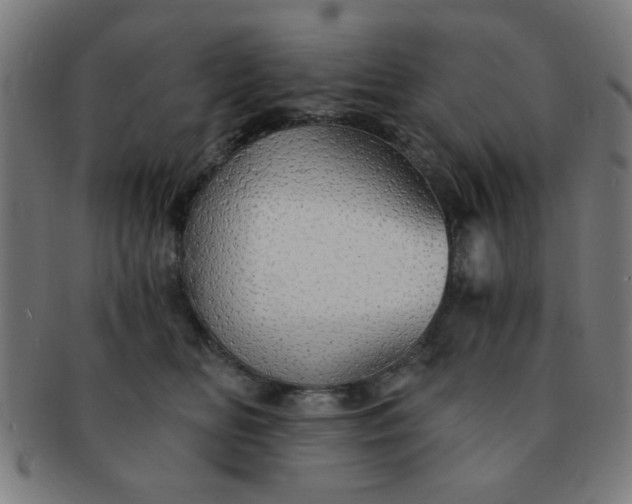 X0000091340518200708241226