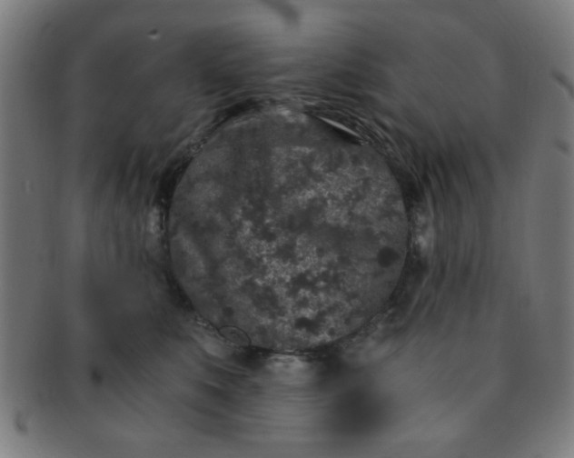 X0000091340519200708241226