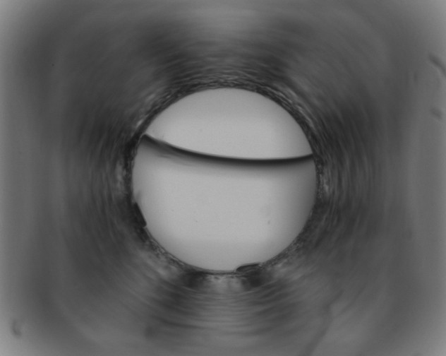 X0000091340520200708241226