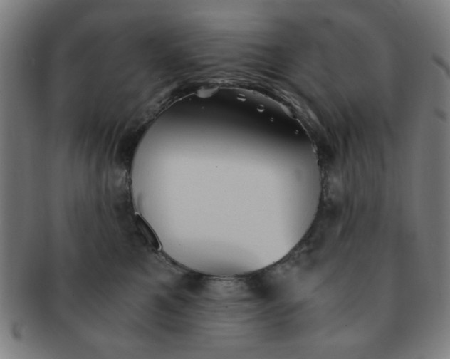 X0000091340521200708241226