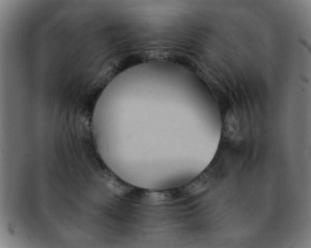 X0000091340522200708241226