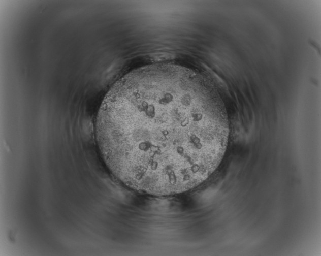 X0000091340523200708241226