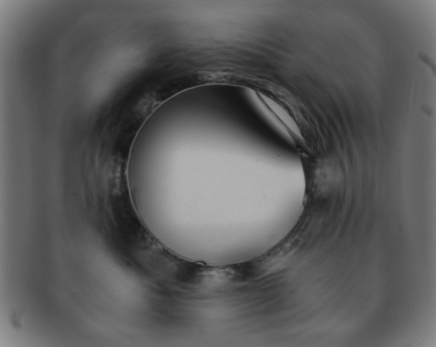 X0000091340525200708241226