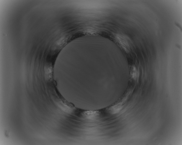 X0000091340526200708241226