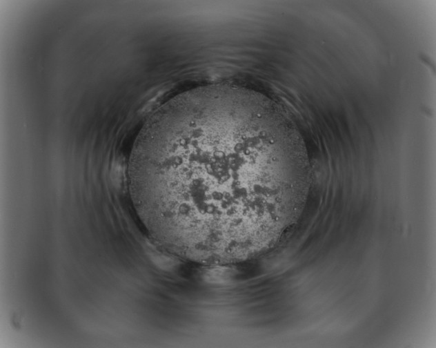 X0000091340527200708241226