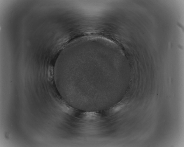 X0000091340528200708241226