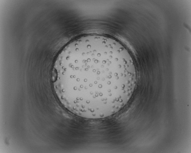 X0000091340529200708241225