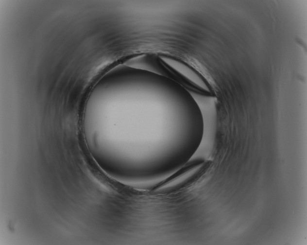 X0000091340530200708241225