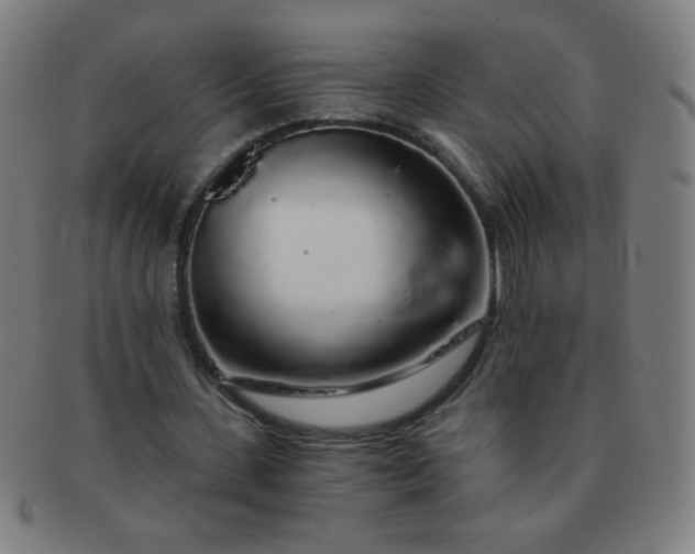 X0000091340531200708241225