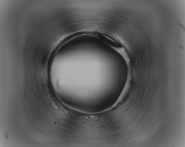 X0000091340532200708241225