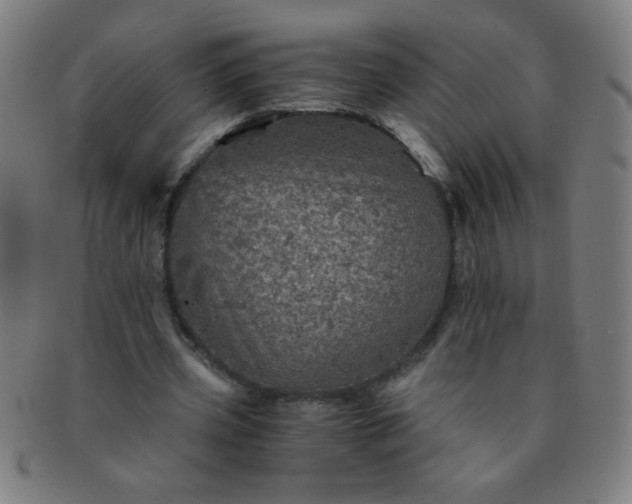 X0000091340533200708241225