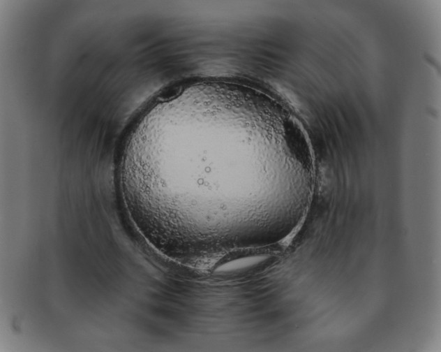 X0000091340535200708241225