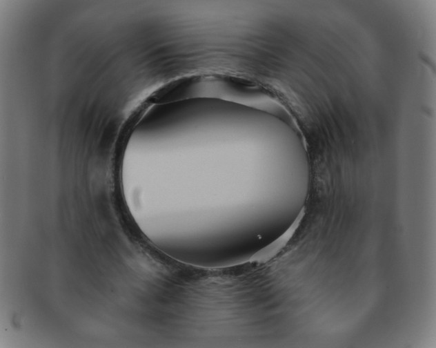 X0000091340536200708241225