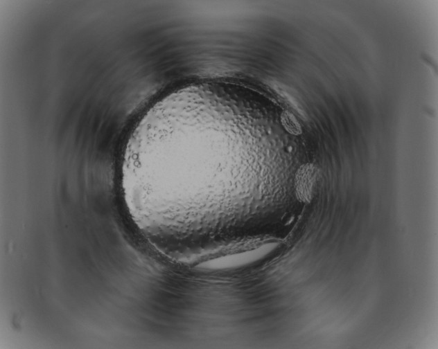 X0000091340539200708241225