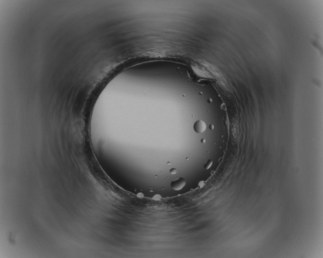 X0000091340540200708241225