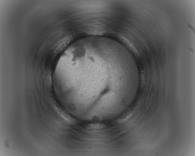 X0000091340541200708241225