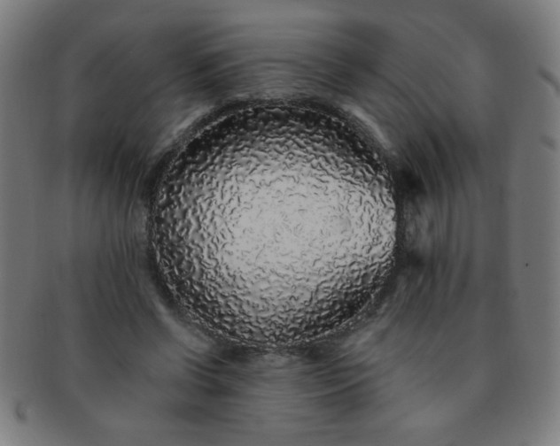 X0000091340542200708241225