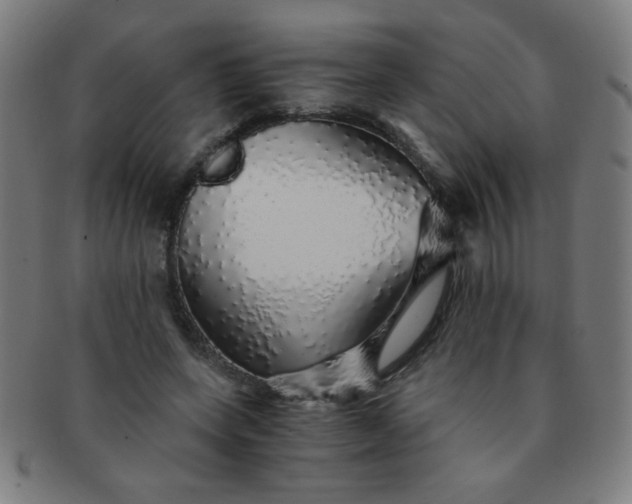 X0000091340543200708241225