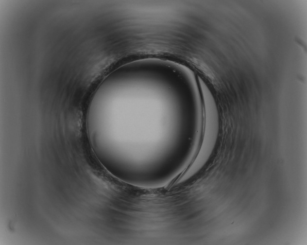 X0000091340544200708241225