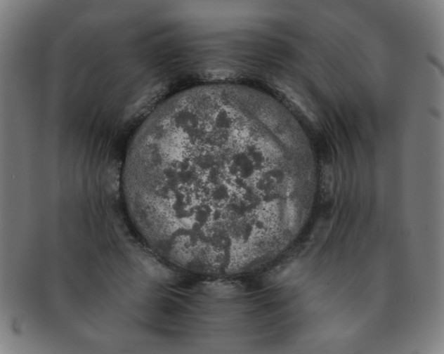 X0000091340545200708241225