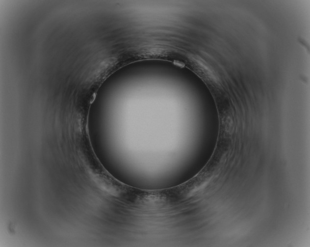 X0000091340546200708241225