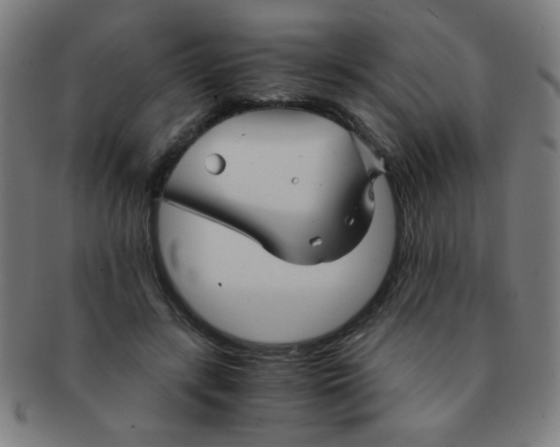 X0000091340547200708241225