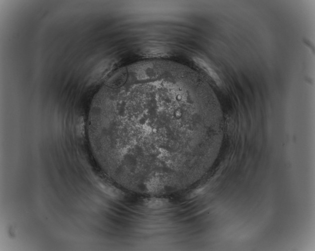 X0000091340549200708241225