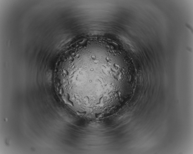 X0000091340550200708241225