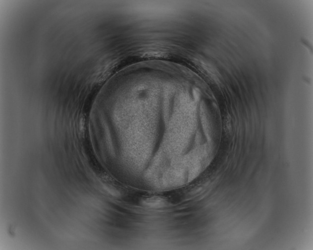 X0000091340551200708241225