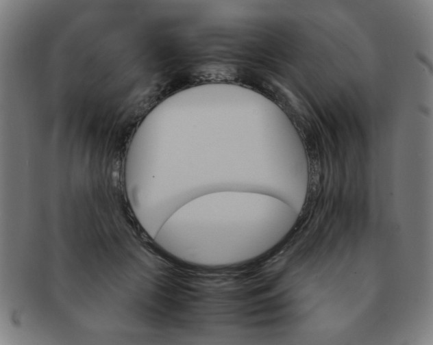 X0000091340553200708241225