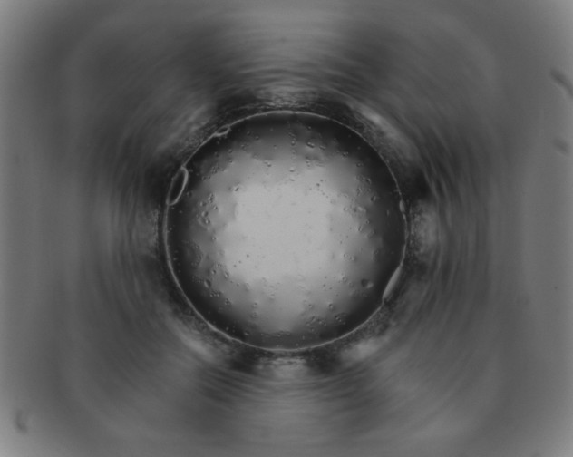 X0000091340554200708241225