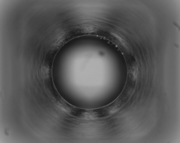 X0000091340556200708241225