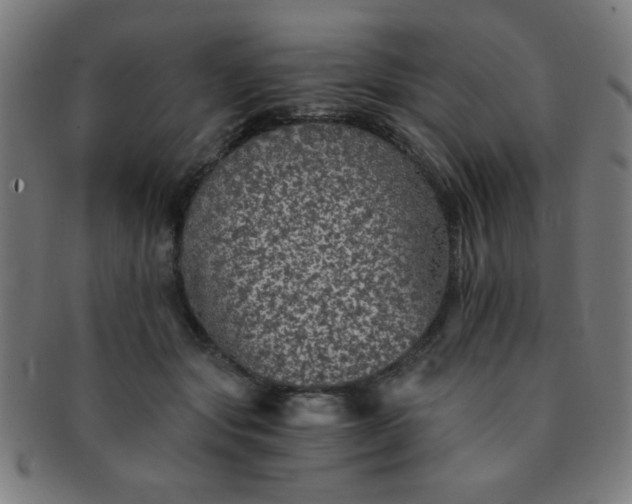 X0000091340557200708241225