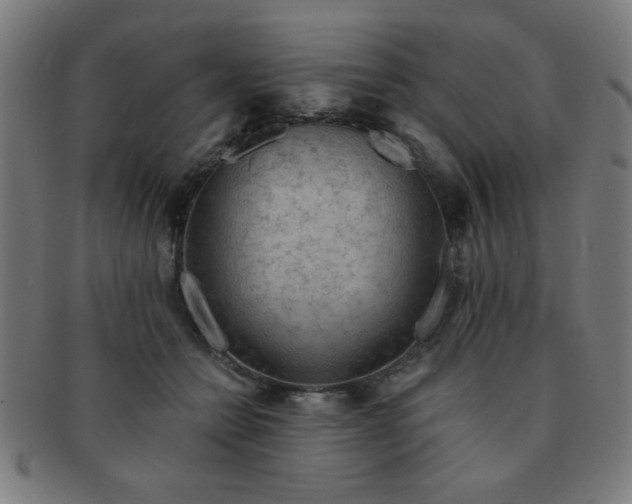 X0000091340558200708241225