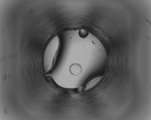 X0000091340560200708241225