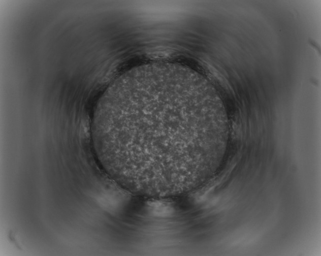 X0000091340561200708241225