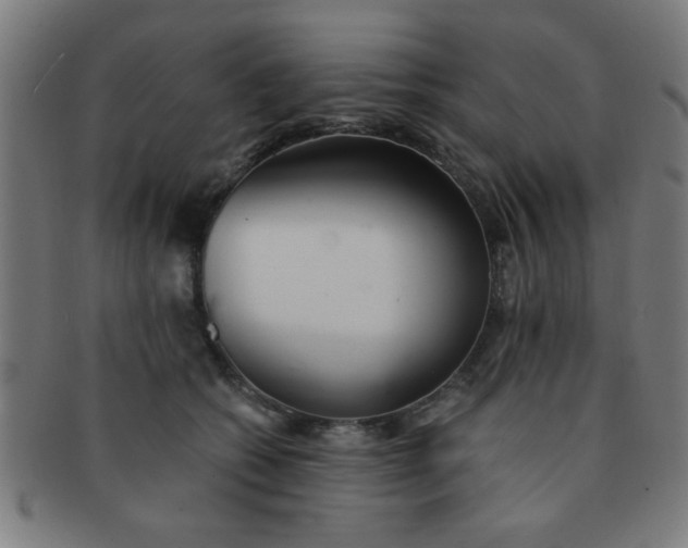 X0000091340562200708241226