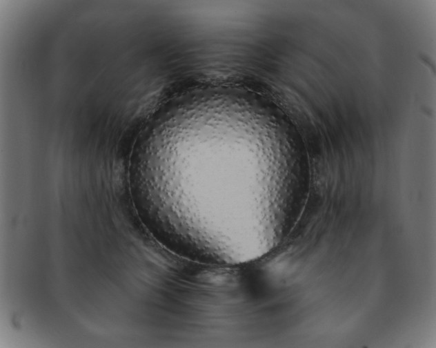 X0000091340563200708241226