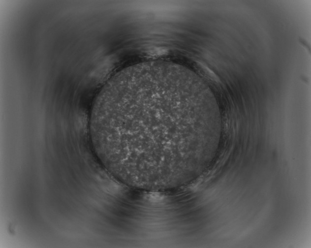 X0000091340565200708241226