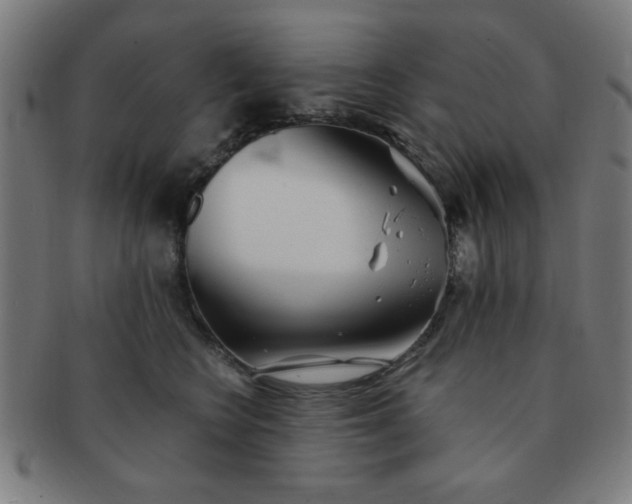 X0000091340566200708241226