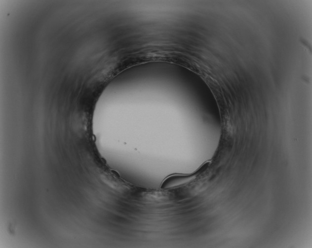 X0000091340567200708241226