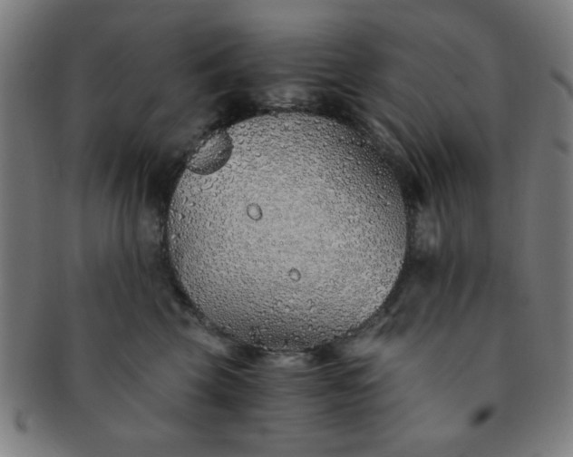 X0000091340569200708241226