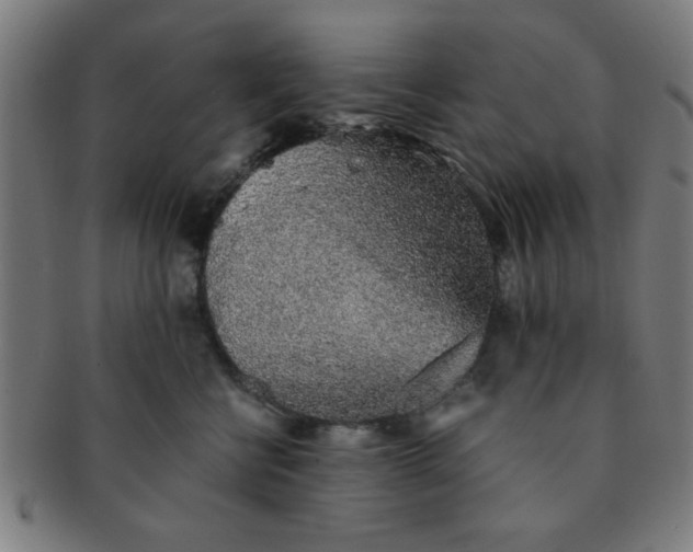 X0000091340570200708241226